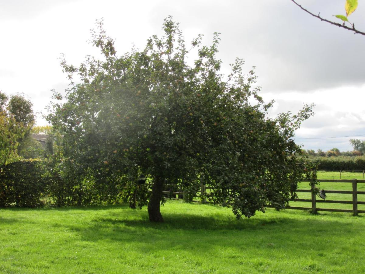 Weston Hill Farm Bed & Breakfast Moreton Pinkney Luaran gambar